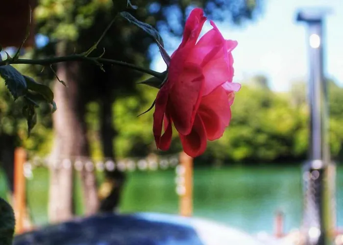 Pri Jazere - Relax Vo Virivke *